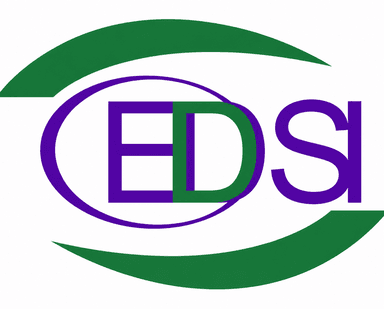 Centre for Development Support Initiatives / EDSI